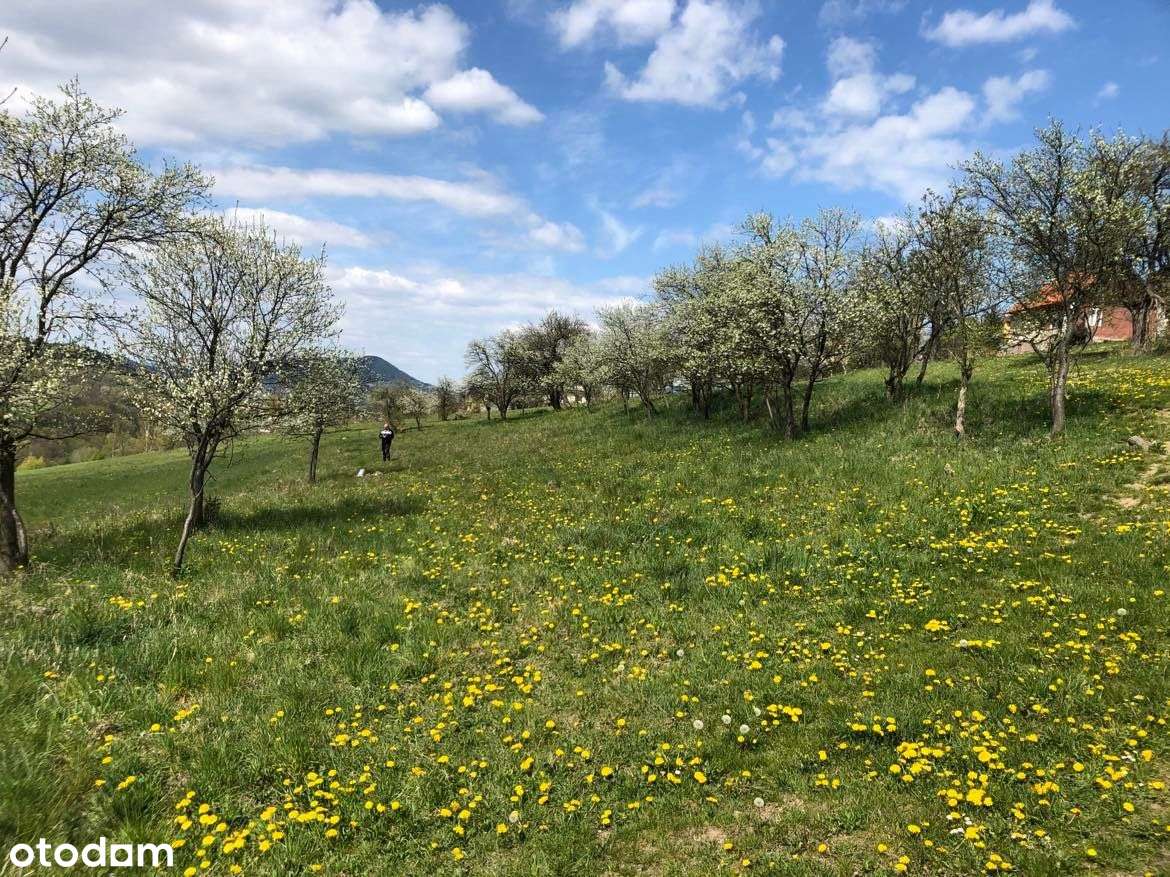 Działka przy Beskidzie Wyspowym - Pełny obrazek: 4/7