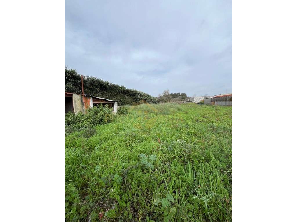 TERRENO PARA CONSTRUÇÃO DE MORADIA COM 1.970 METROS 
 SERZEDO - Grande imagem: 5/7