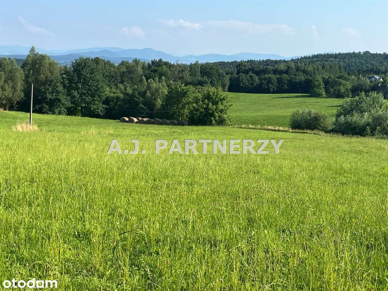 Działki w Grajowie obok szkoły z mediami - Pełny obrazek: 5/12