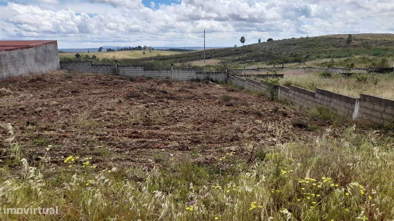 Terreno Para Construção  Venda em Castelo Branco,Castelo Branco-6