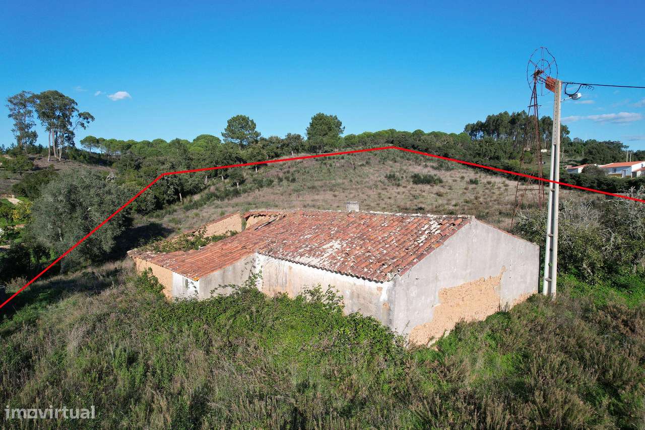 Quinta com ruína em S. Teotónio, Relva Grande - Grande imagem: 5/11