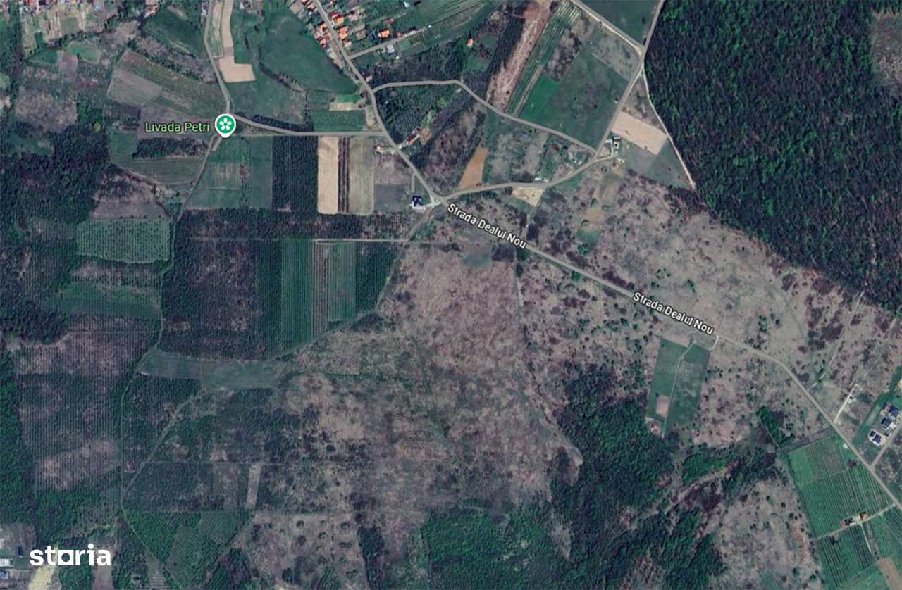 4040 Mp. teren INTRAVILAN - 80.800 € - zona Ghe. Doja. - Sald. Munte - Imagine principală: 3/3