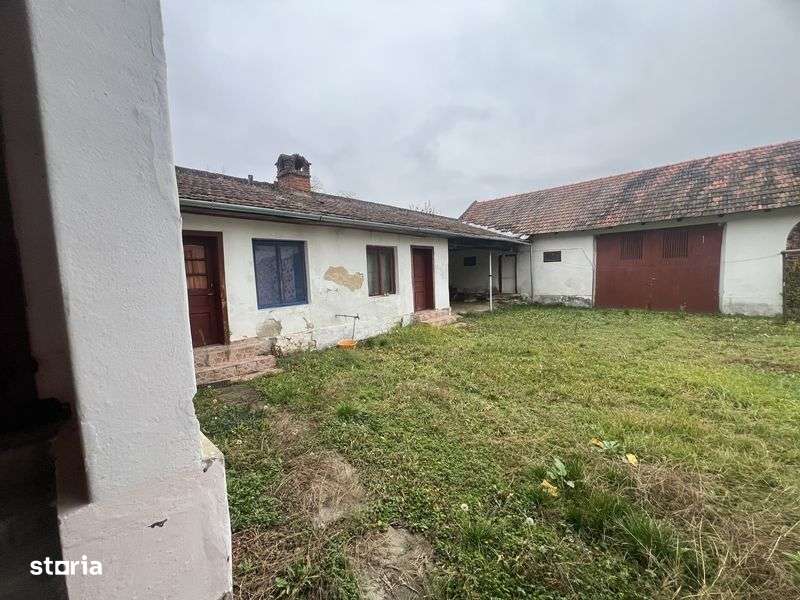 Casa individuala 5 camere/ 1.439mp , curte, mobilata, Sintesti Timis - Imagine principală: 4/7