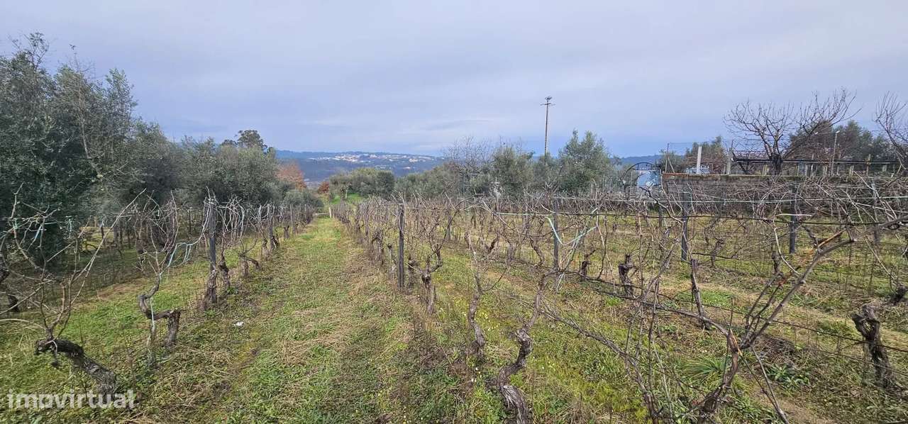 Terreno na zona de Silgueiros - Grande imagem: 4/8