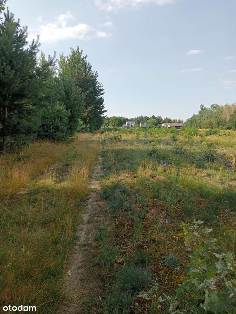 DZIAŁKI BUDOWLANE 648 m², 864 m²  GROSZOWICE - Pełny obrazek: 4/5