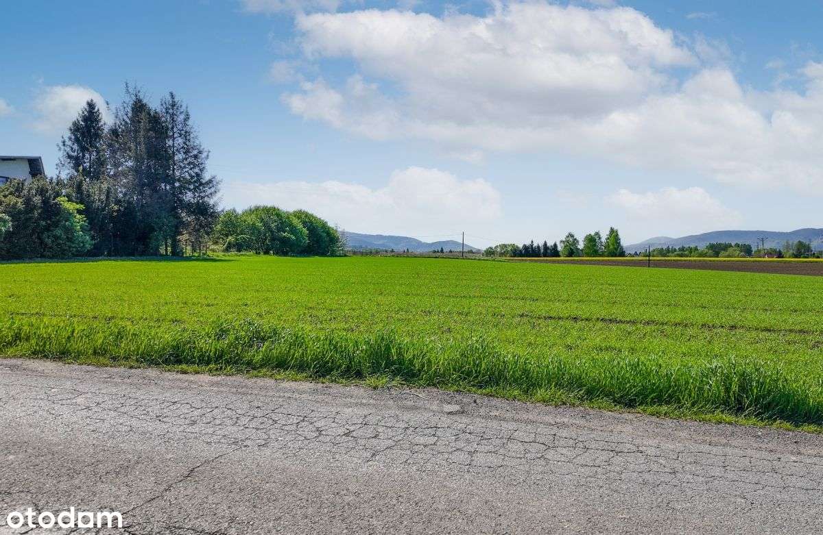 Dla Inwestora lub pod komfortową rezydencję! - Pełny obrazek: 5/5