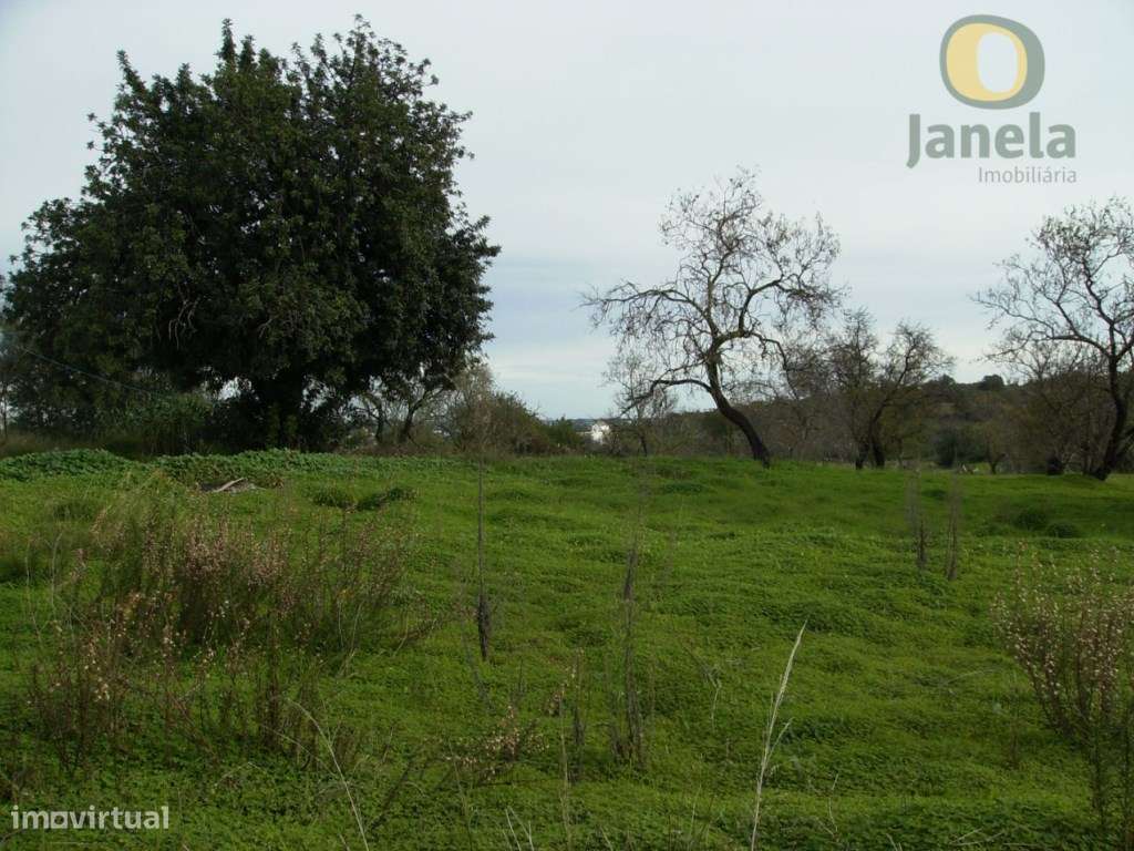 Lote de 2 terrenos com 8560 m2 - Grande imagem: 4/5
