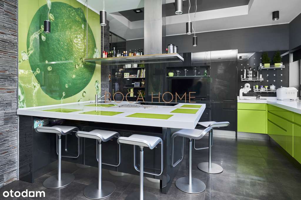 Obiekt na Mazurach z linią brzegową jeziora Roś-16