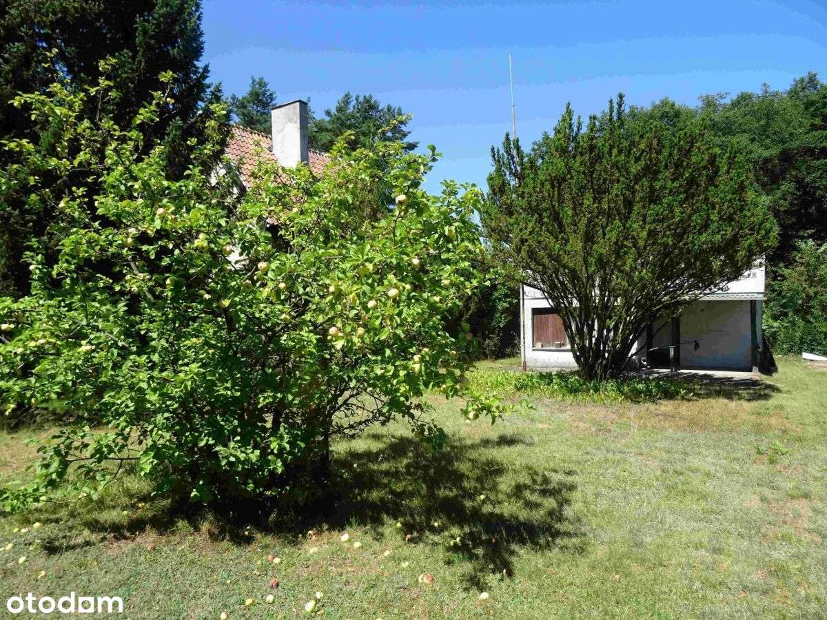 Okazja! Działka w pobliżu jeziora-5