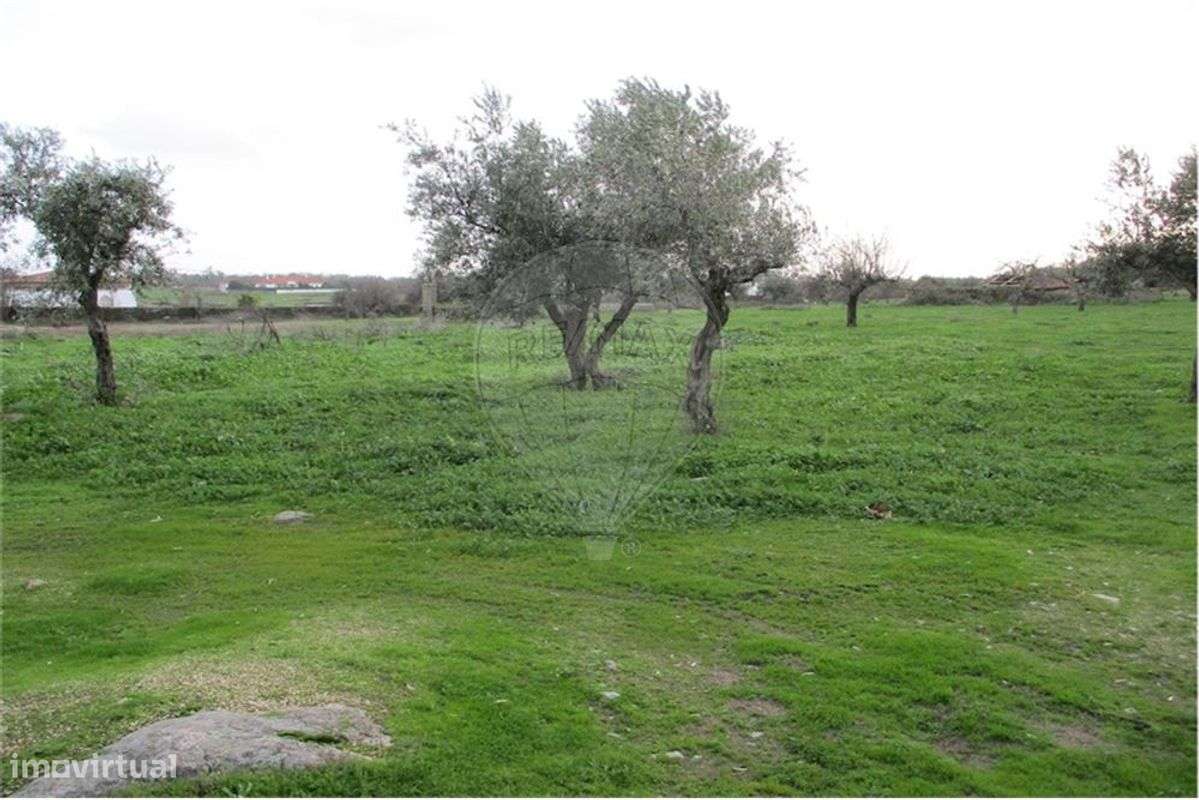 BAIXA DE PREÇO!!! ANTES: 600.000&euro;  AGORA: 500.000&euro; - Grande imagem: 2/34