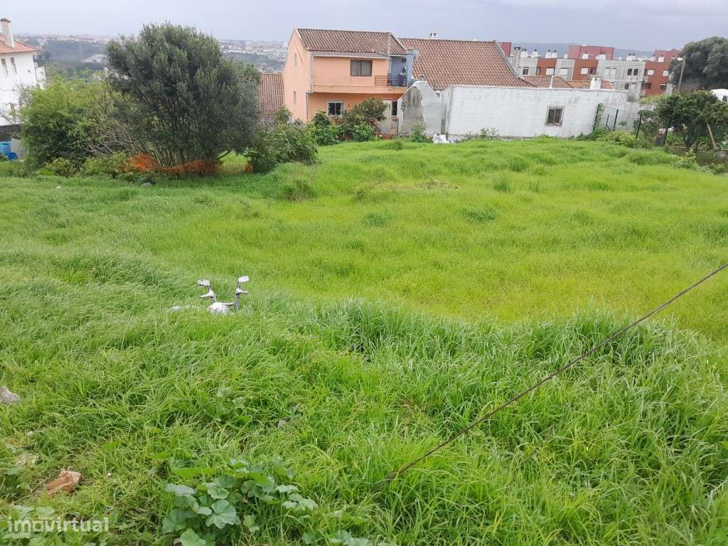 Terreno A-da-Beja - Grande imagem: 5/8