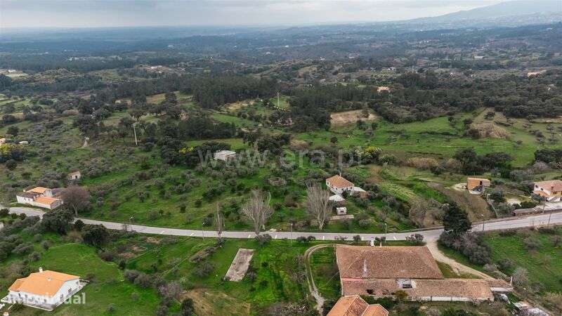 Quintinha / Fundão, Vale Prazeres - Grande imagem: 4/20