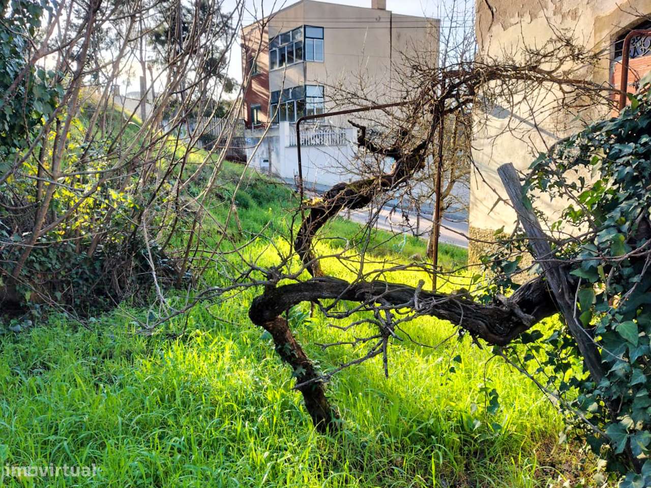 Moradias geminadas (2 T2) - Arganil-22