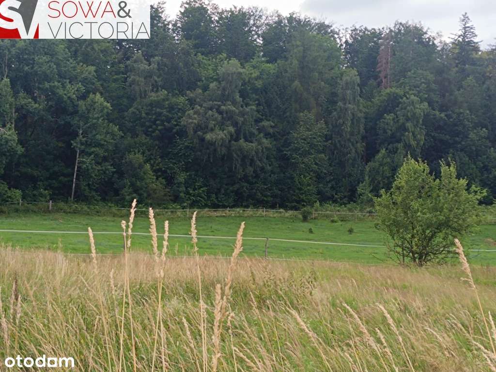 Działka przy lesie w sąsiedztwie zalewu - Pełny obrazek: 4/9