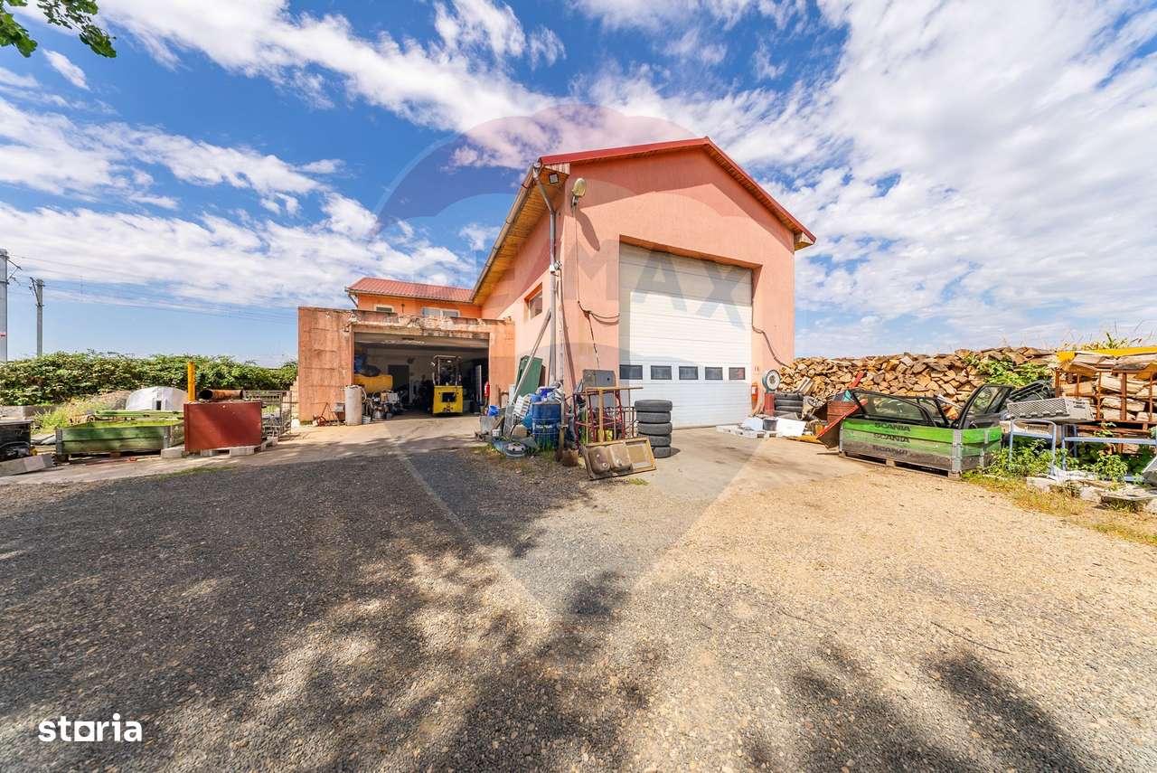 Spațiu industrial cu potential de vanzare in Paulis,Arad - Imagine principală: 4/20