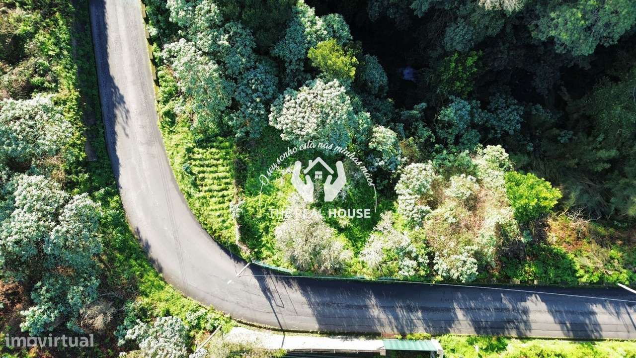 Terreno Rústico em Santo António da Serra-3