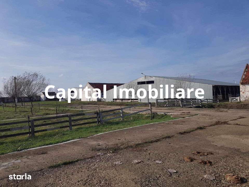 Ferma langa Oravita 5600 mp construiti si teren 24281 intravilan - Imagine principală: 4/10