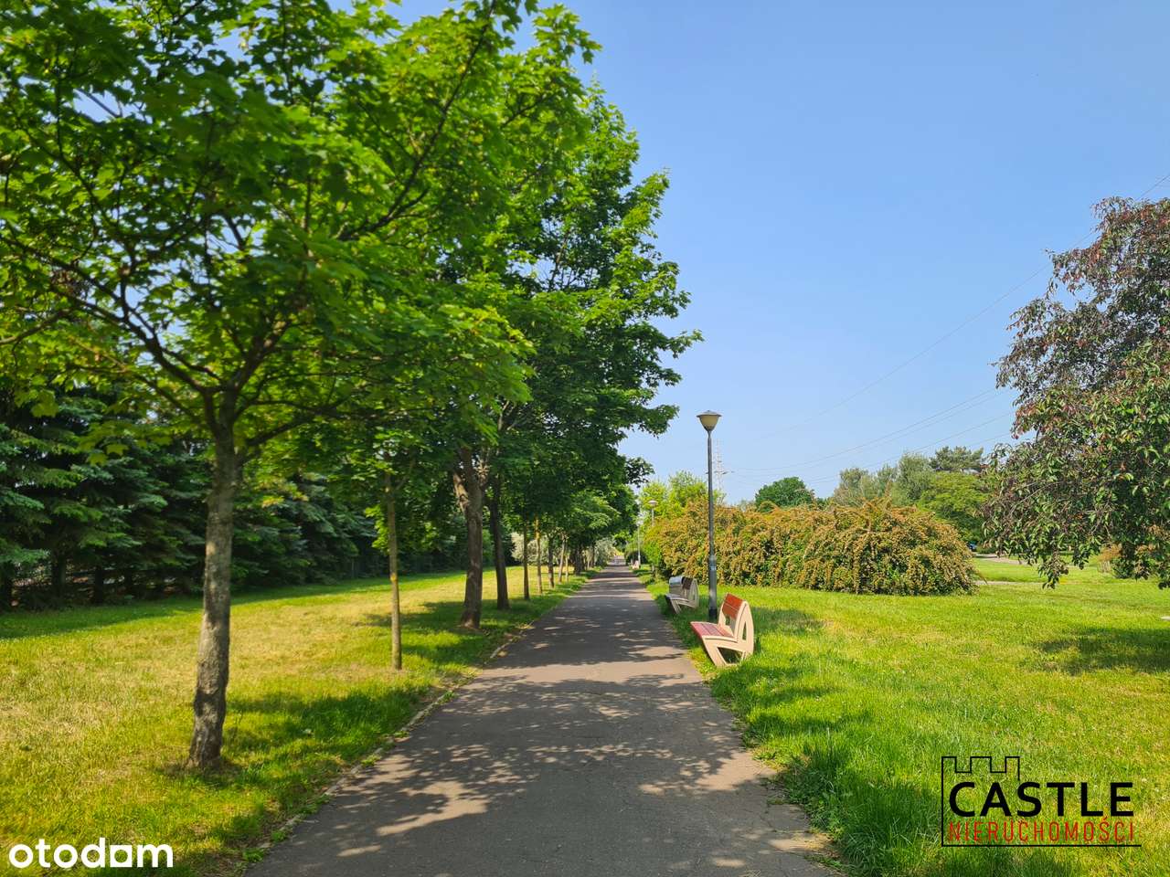 Słoneczne 39m | duży balkon | obok parku i PST | 1. piętro-15