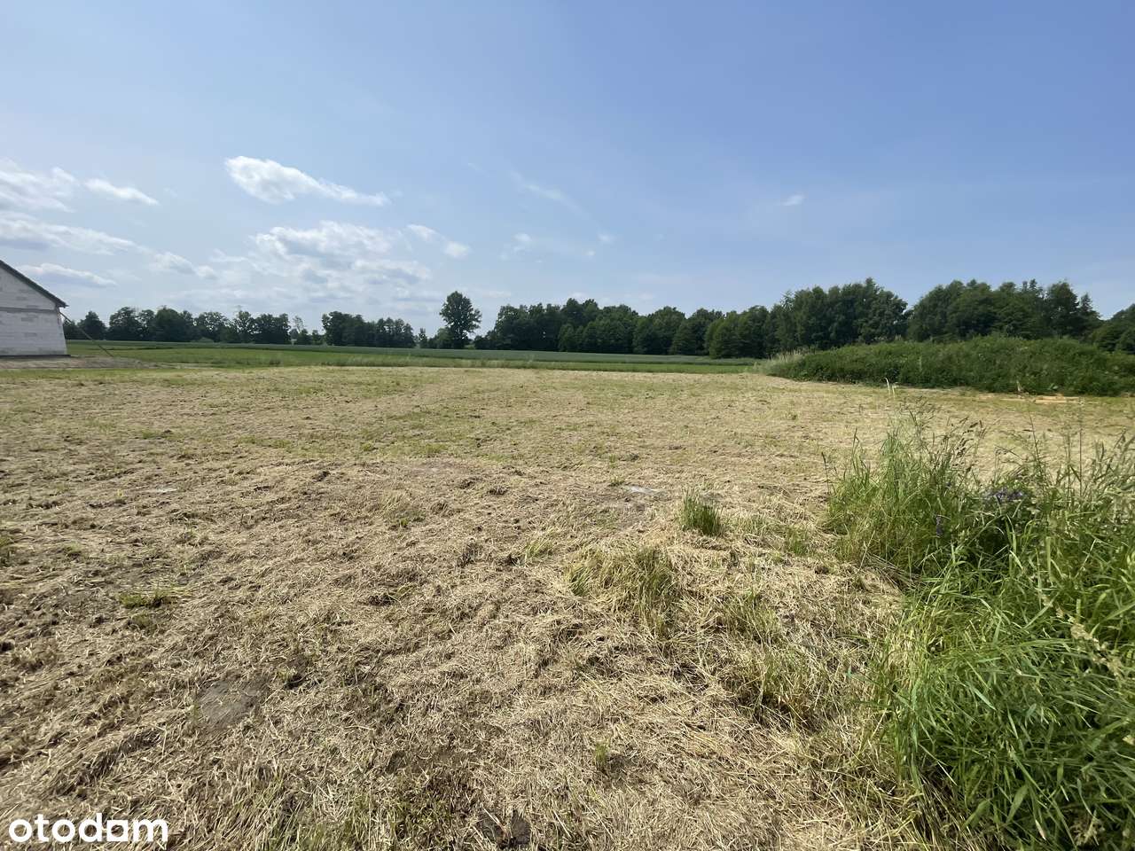 Działka przy lesie - Twoje miejsce w sercu natury - Gmina Oświęcim - Pełny obrazek: 4/5