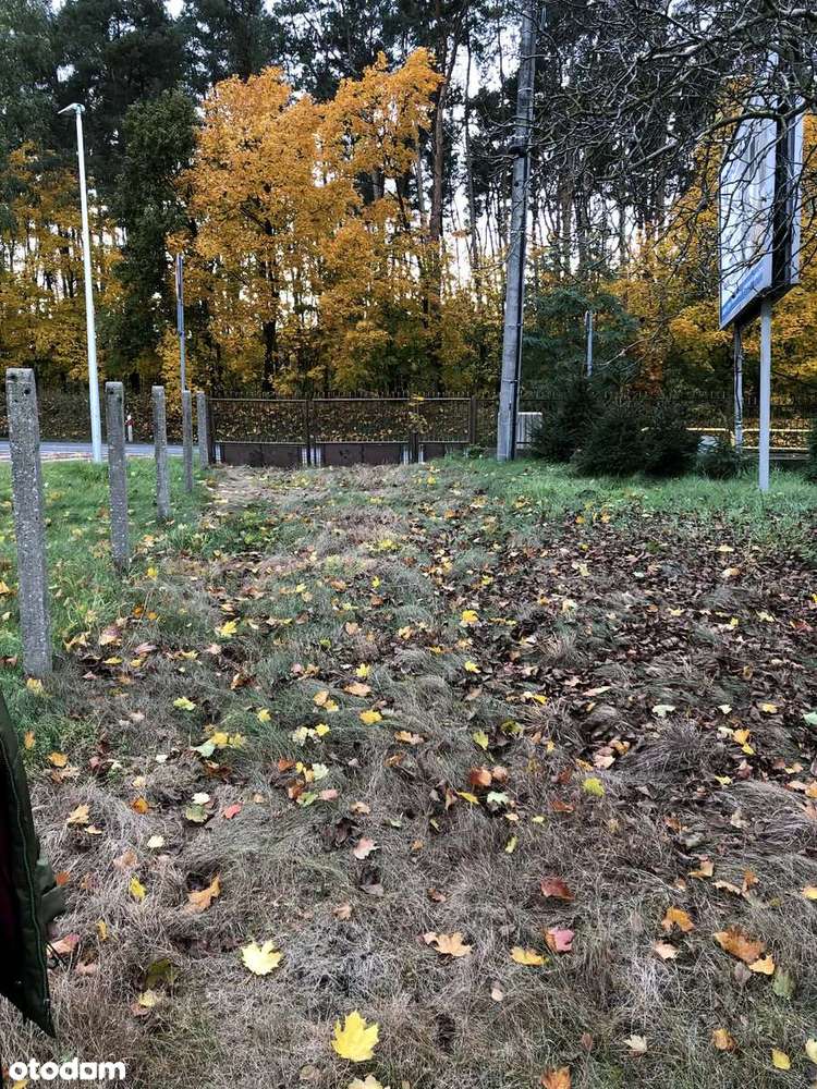 Działka budowlana, atrakcyjna lokalizacja. - Pełny obrazek: 5/7