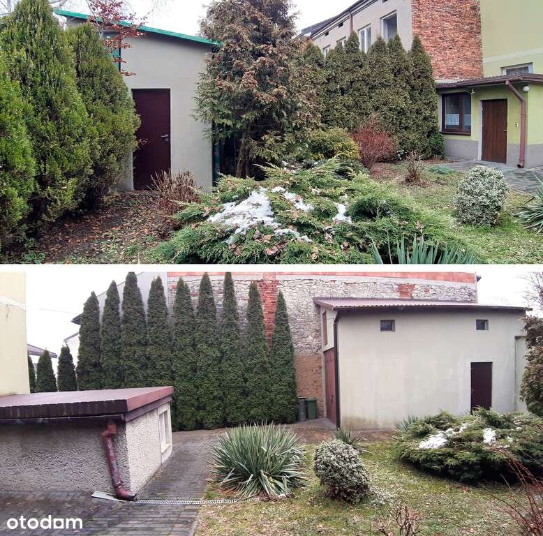 Dom, z lokalami komercyjnymi i in.-3