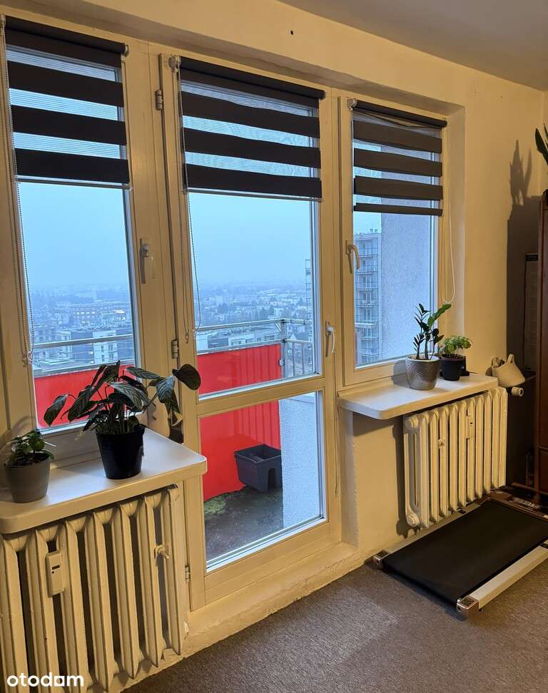 Chrobrego, kawalerka, od 02.01, balkon, piwnica - Pełny obrazek: 4/9