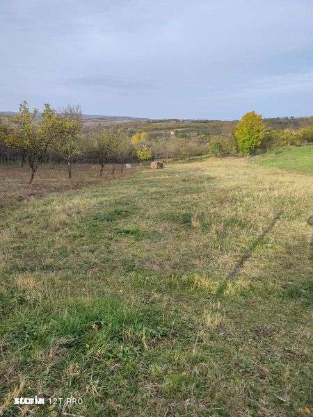 Teren de vanzare langa Zalau, loc. Hereclean - Imagine principală: 5/5