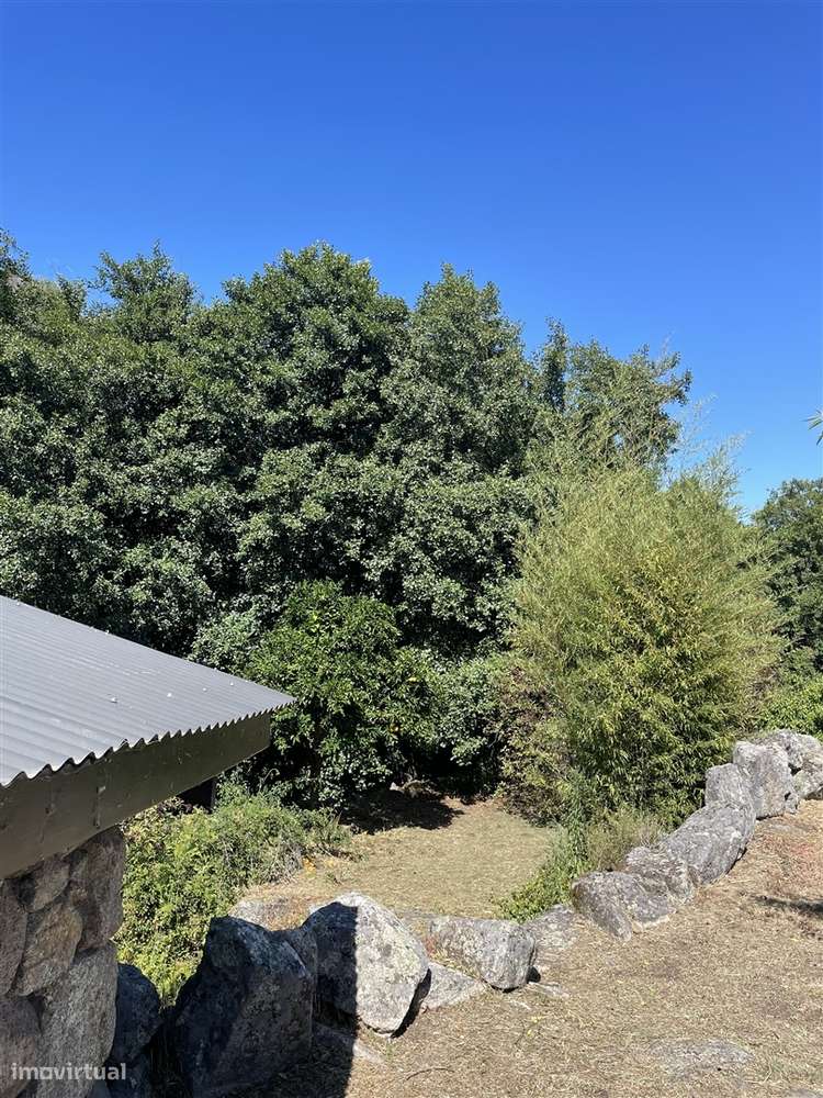 Moradia Isolada T3 Venda em Louriçal do Campo,Castelo Branco-16