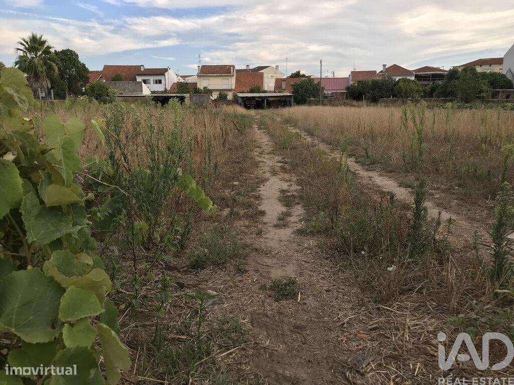 Terreno para construção em Ovar, São João, Arada e São Vicente de Pere - Grande imagem: 4/27
