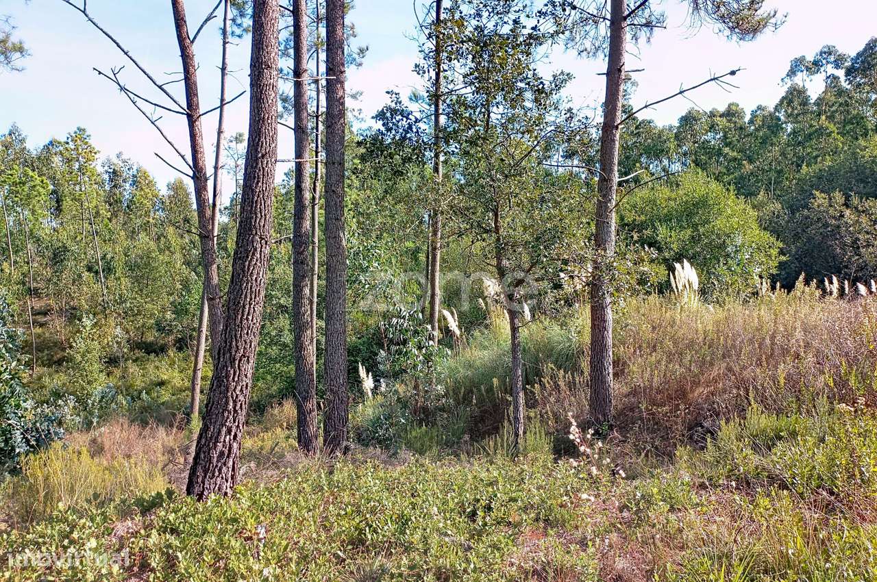 Terreno Industrial Barosa - Grande imagem: 3/20