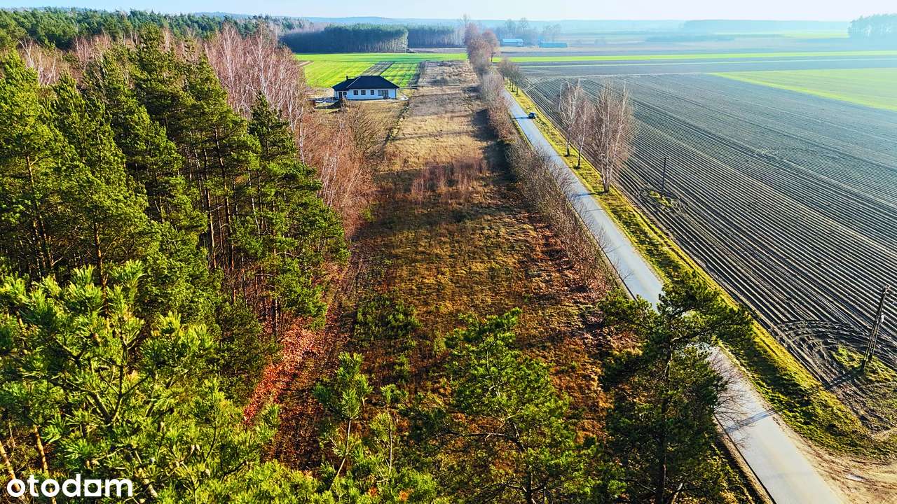 Działki budowlane przy lesie 1343 m2 | media | przy drodze asfaltowej-5