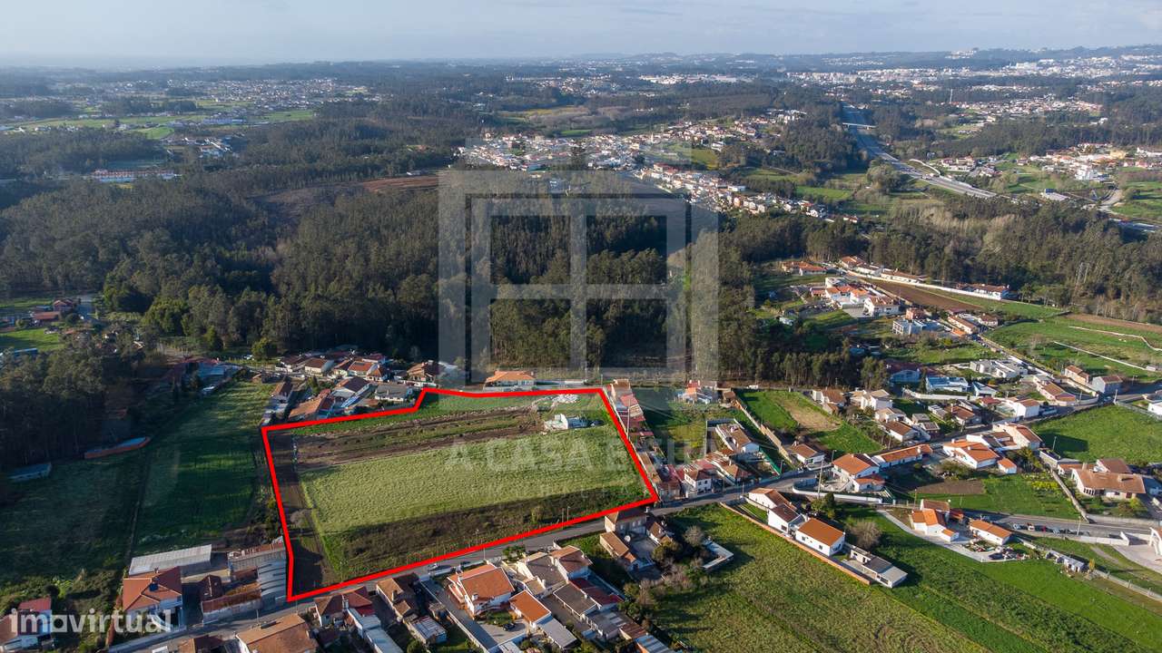 Terreno misto com 16.560 m2 em Souto, S. M. Feira - Grande imagem: 5/10