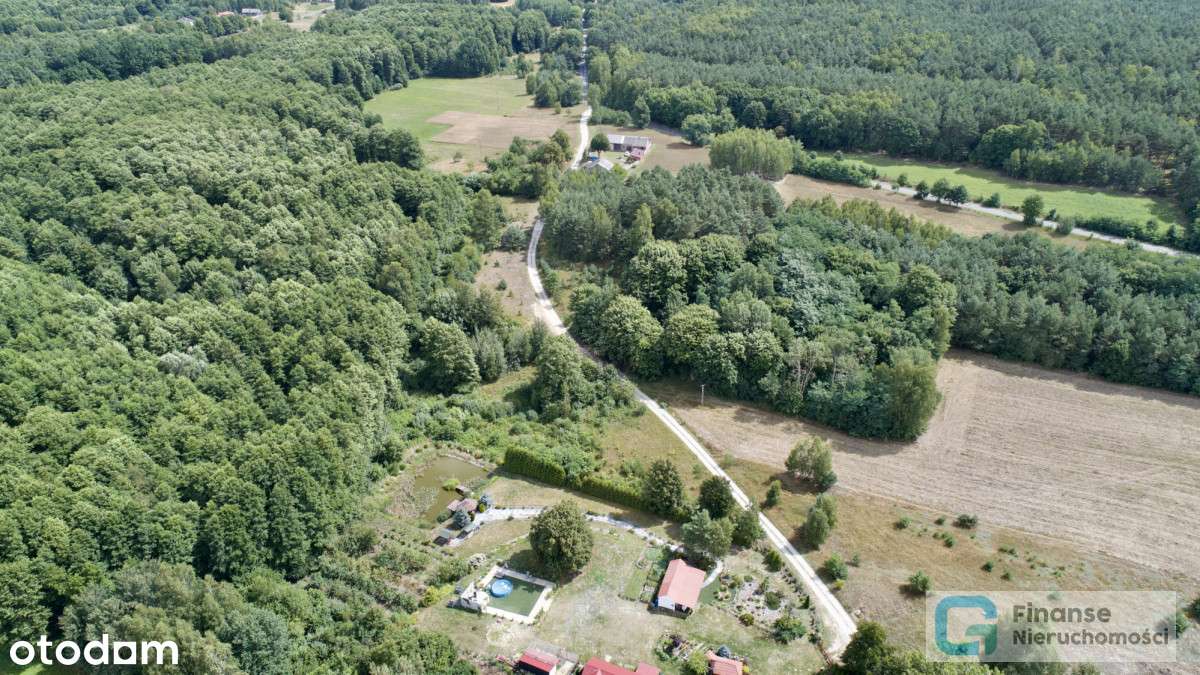Działka położona w zielonej okolicy, Nowe Byliny - Pełny obrazek: 5/15