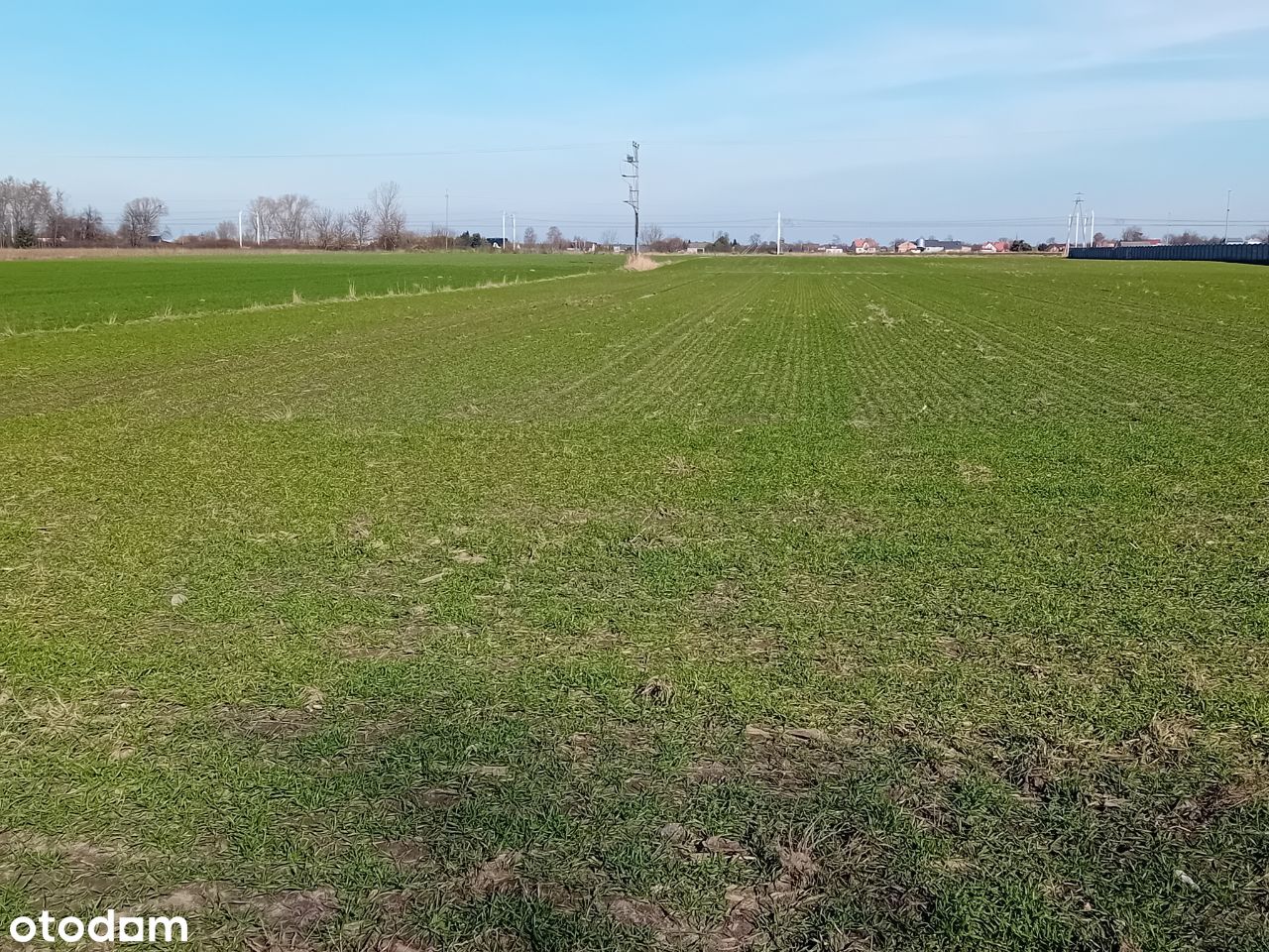 Działka usługowo-budowlana w centrum Łowicza