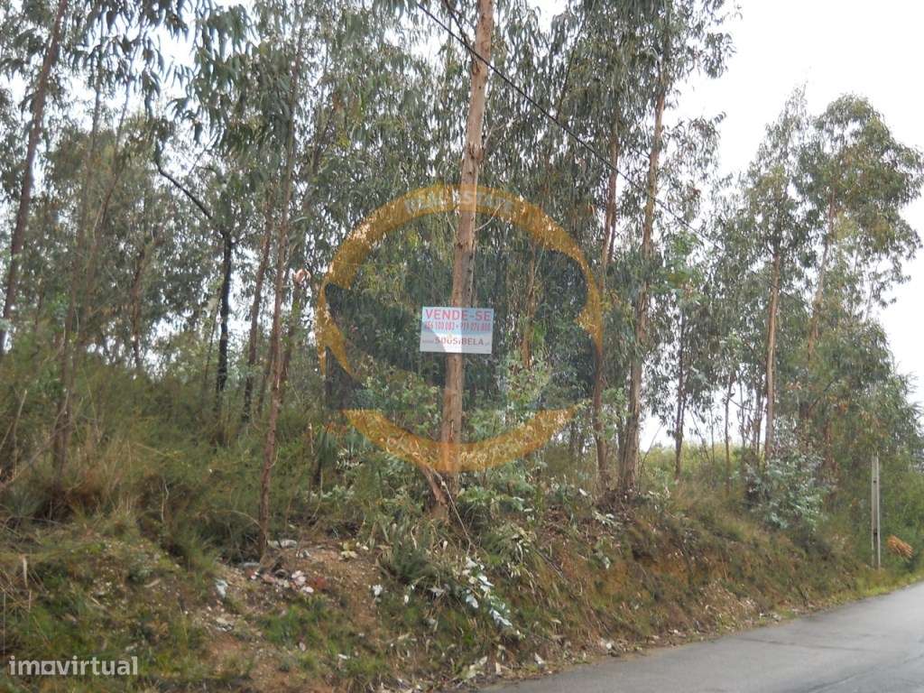 Terreno em Vila de Cucujães - Grande imagem: 3/3