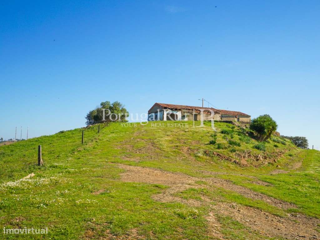Herdade de 30ha junto à barragem, em Ourique - Grande imagem: 5/23