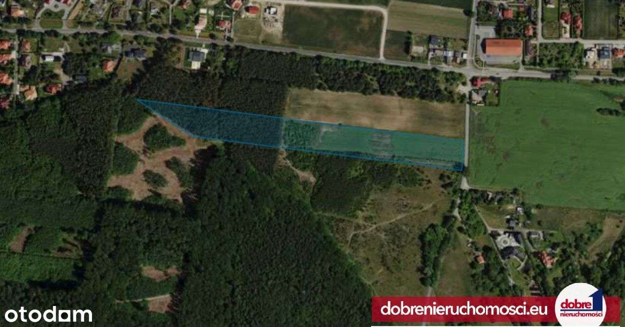 Dla inwestora, 26tys m2 z lasem, Myślęcinek - Pełny obrazek: 5/5