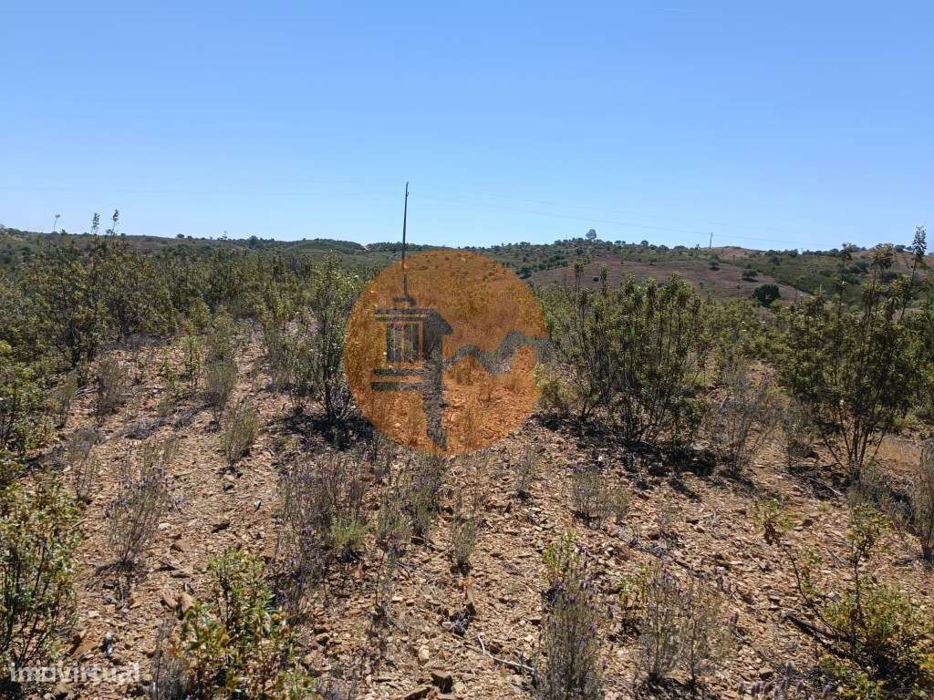 TERRENO COM 34.700 M2 - POSSIBILIDADES DE CONSTRUIR UM ARMAZEM - PR...-10