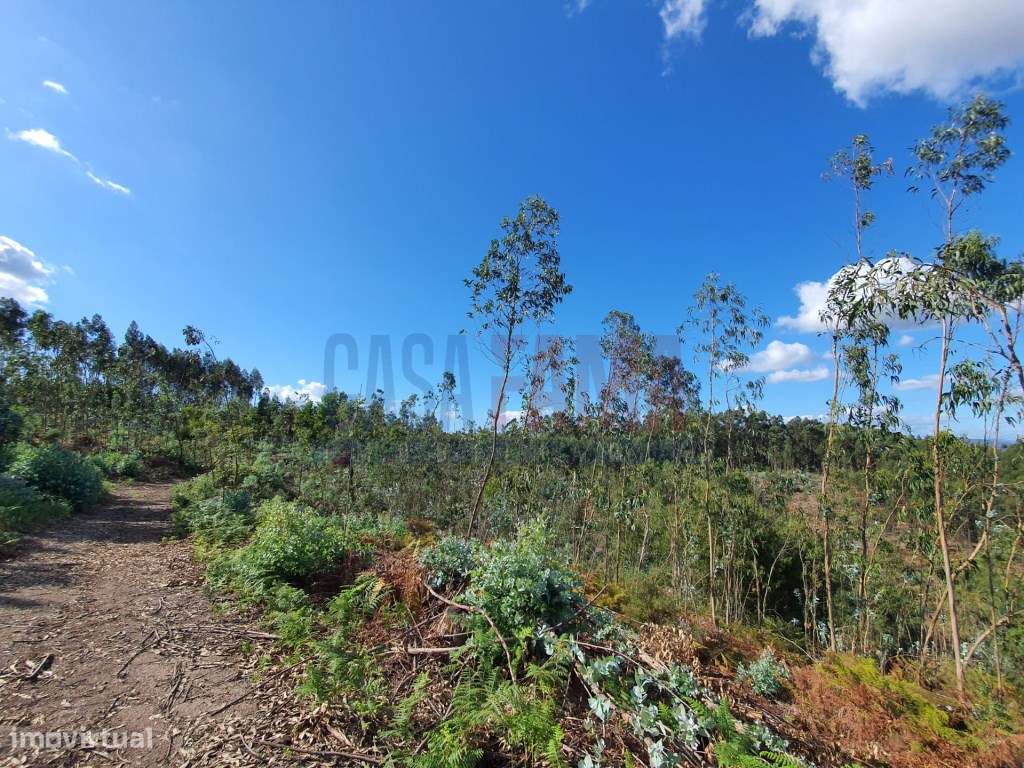 Terreno industrial na Trofa - Porto - Grande imagem: 2/8