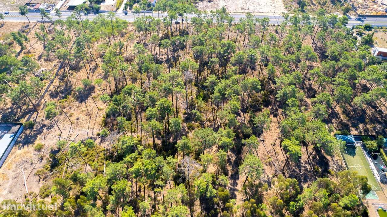 Terreno URBANO na Av. do Mar - Aroeira I Verdizela - Grande imagem: 4/7