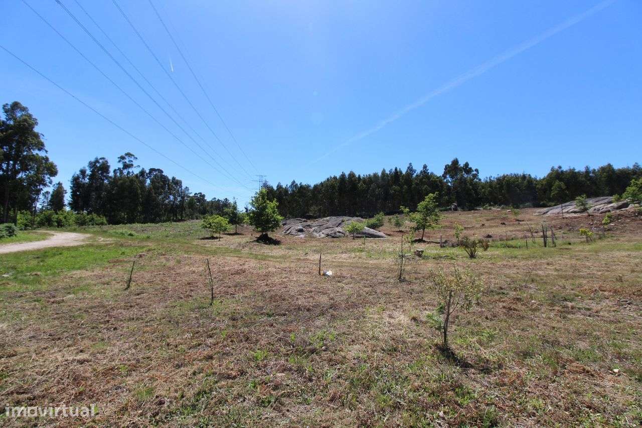 Terreno a 10 Kms do Centro – 2,3 Hectares - Grande imagem: 3/18