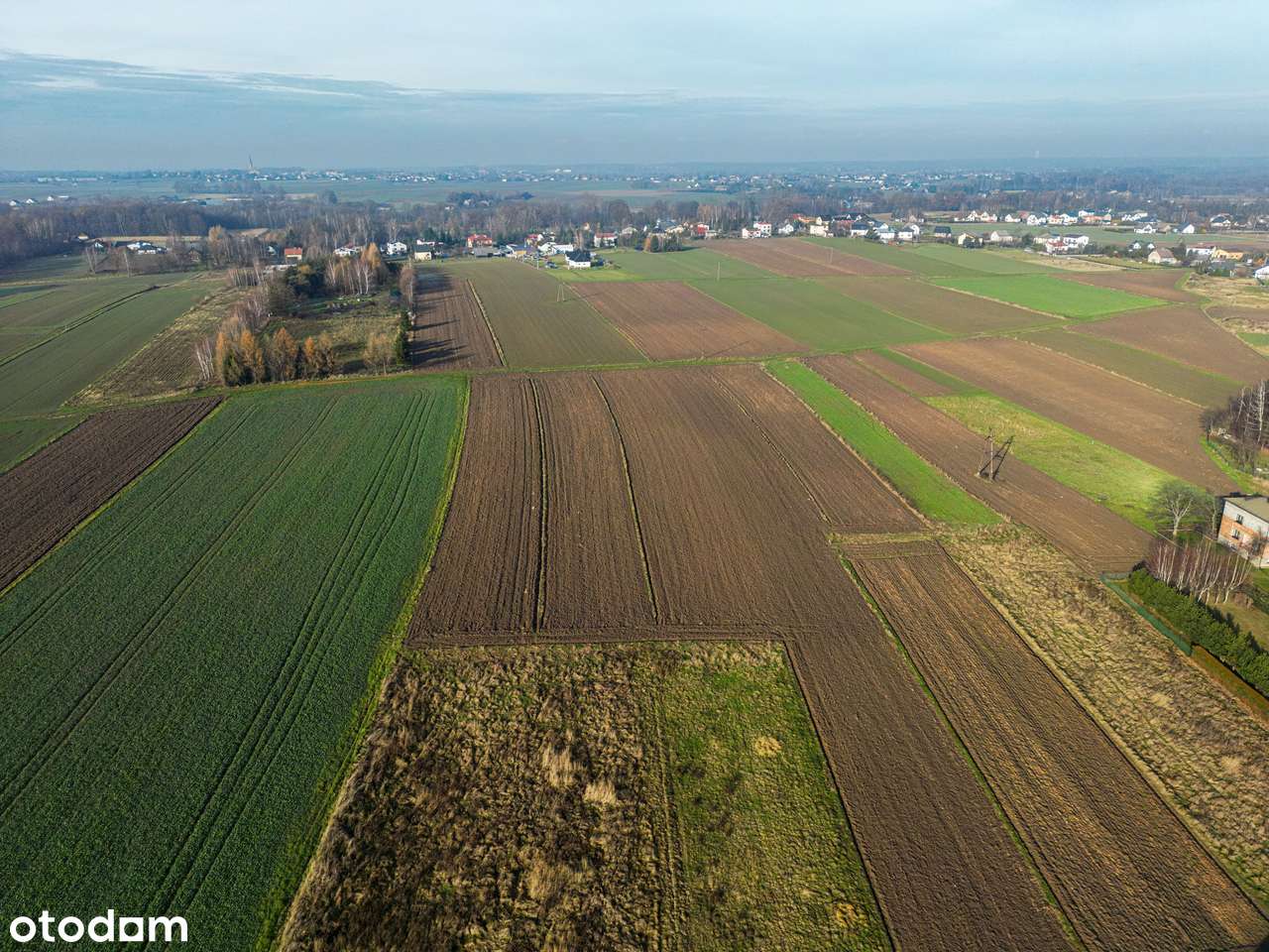 Działka, 800 m², Hecznarowice-5