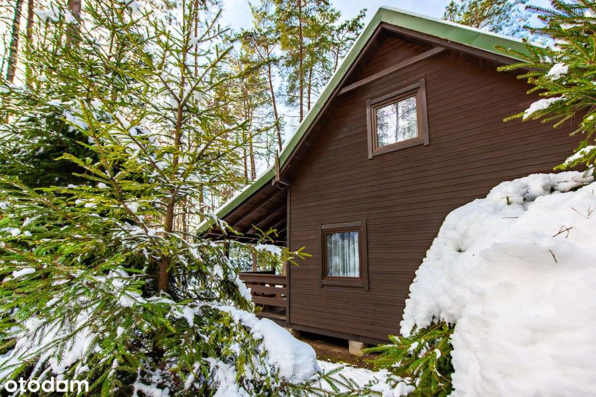 Leśny Dom Duo - Mazury - Pełny obrazek: 5/20