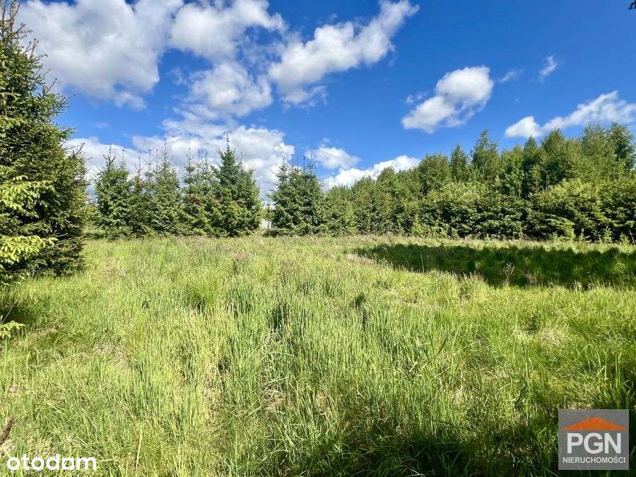 Domek na Dużej Działce Blisko Kamienia Pom - Pełny obrazek: 5/20