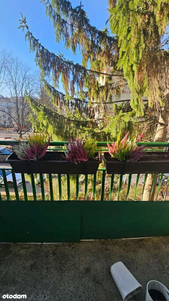 2 Przestronne Pokoje na Bielanach / ul. Żeromskiego - Pełny obrazek: 5/20