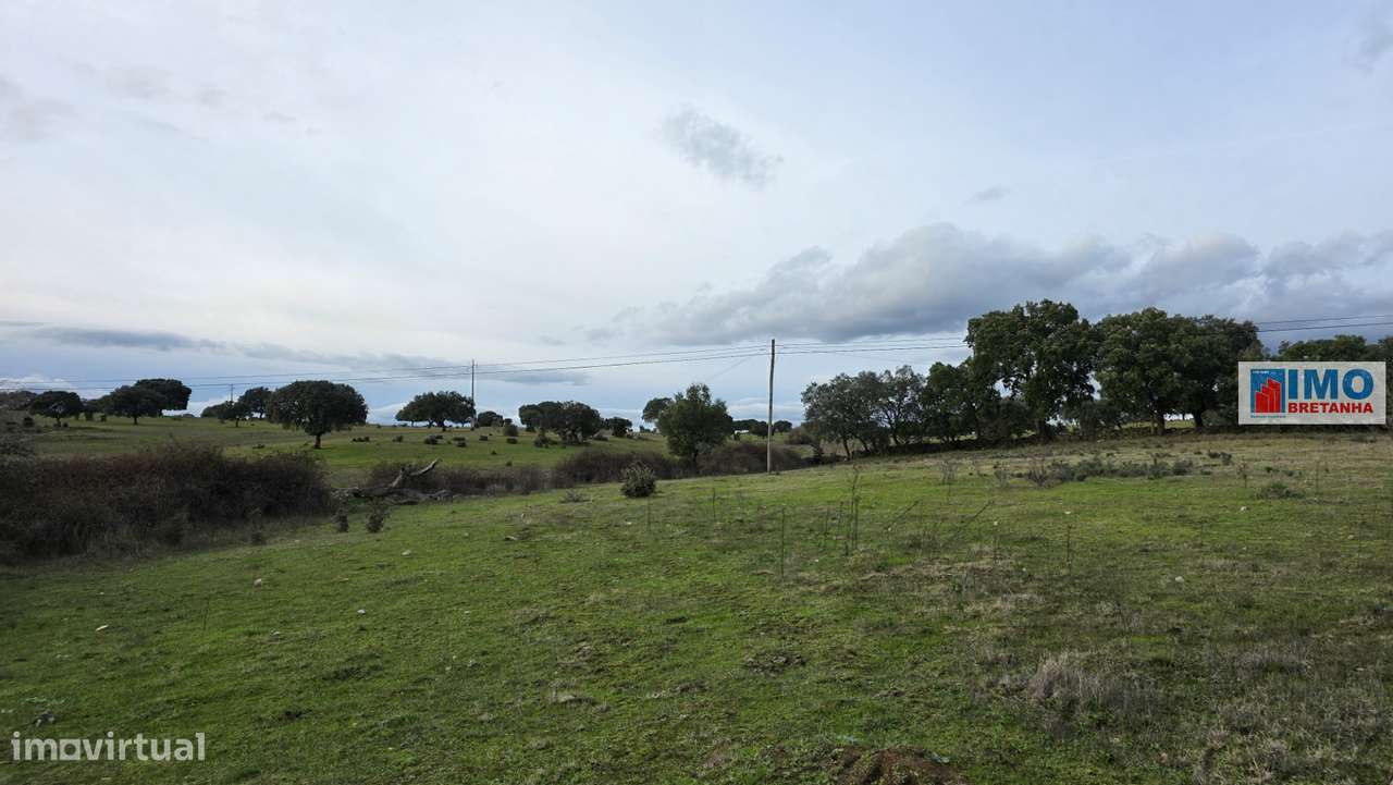 Quinta  - Alcafozes - Grande imagem: 5/12