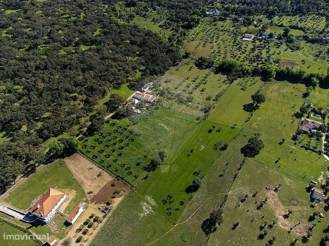 Quinta T6 para venda-4