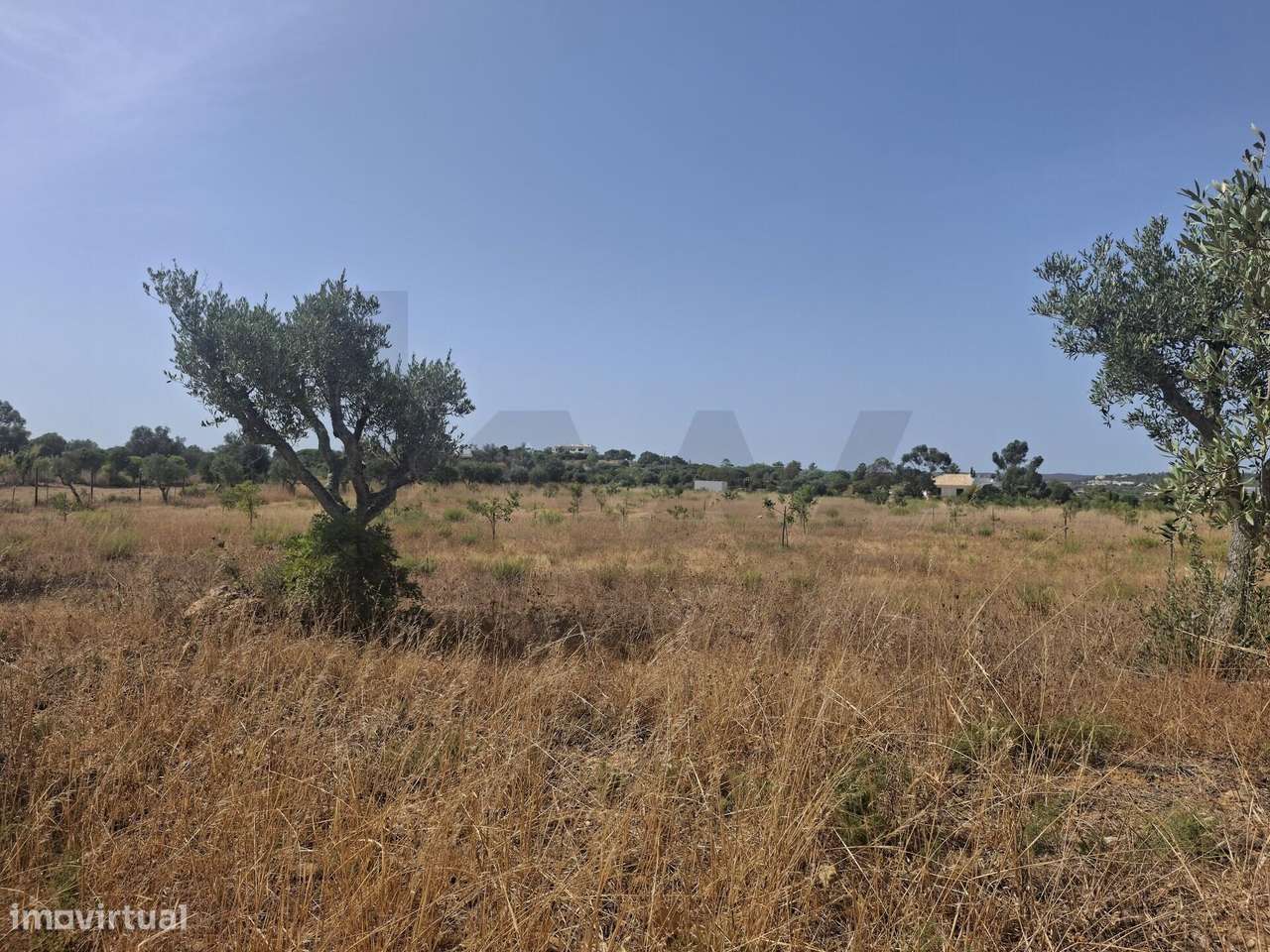 Propriedade agrícola com 78.640 m2 em Vale da Lama, Odiáxere.-11