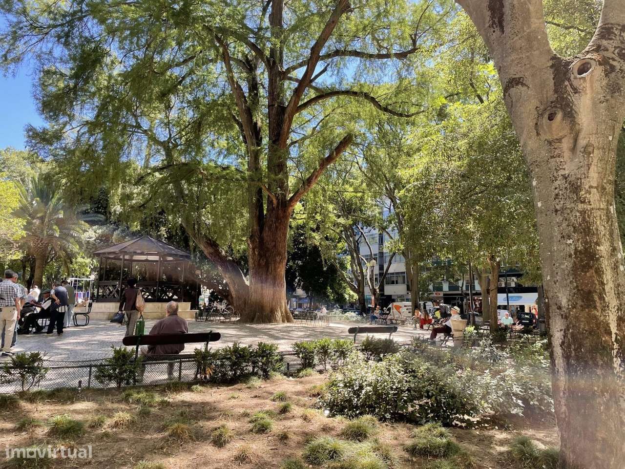 Apartamento em Campo de Ourique com afetação de comércio - Grande imagem: 4/7