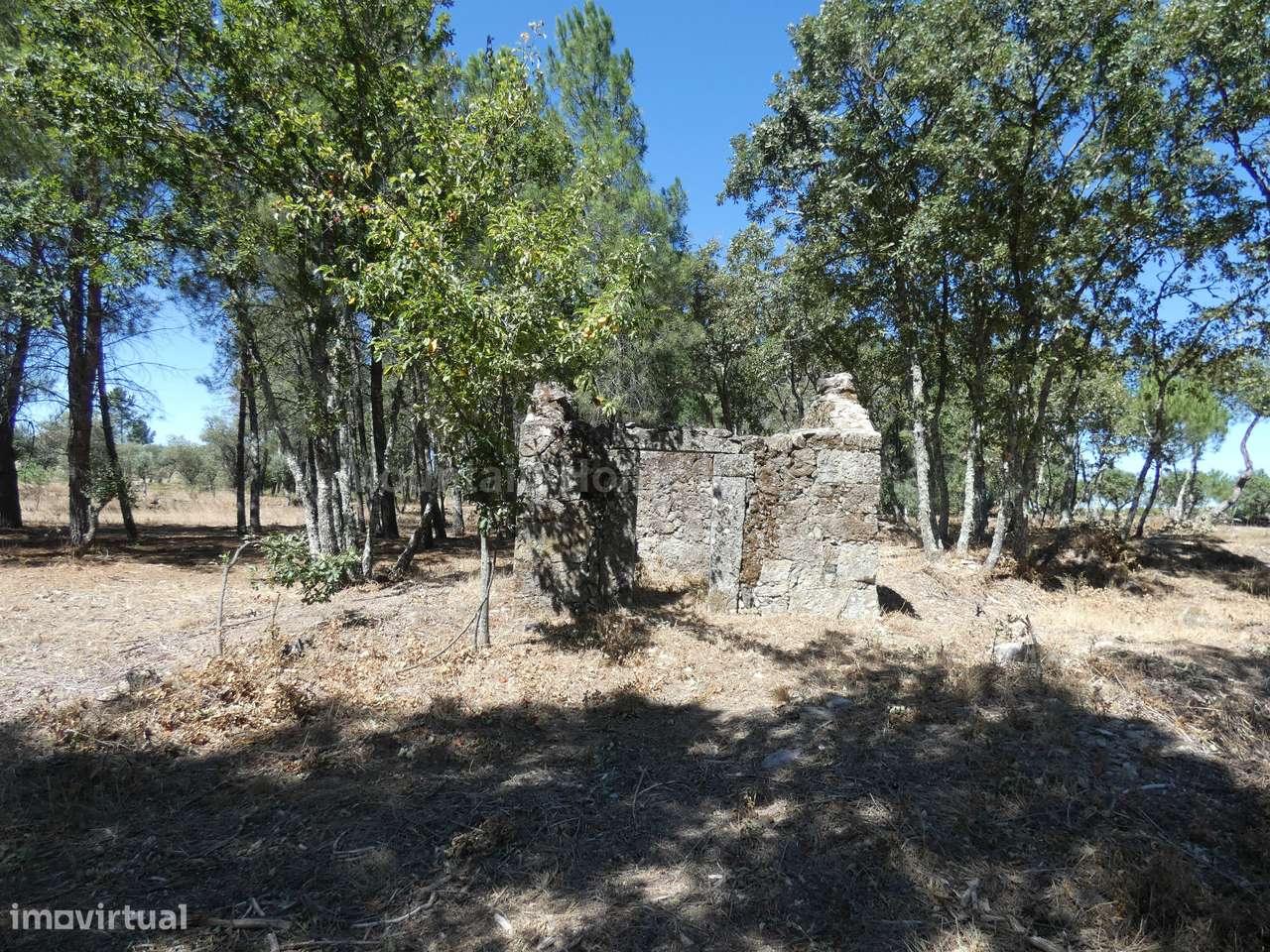 Quinta  Venda em Vila Nova de Tazem,Gouveia - Grande imagem: 3/8